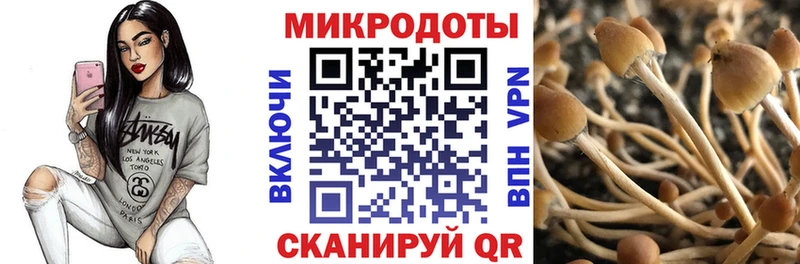 mega рабочий сайт  Россошь  darknet официальный сайт  Галлюциногенные грибы ЛСД 
